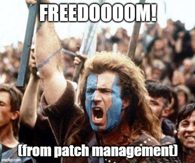 warrior holds up stick. freedom from patch management. 